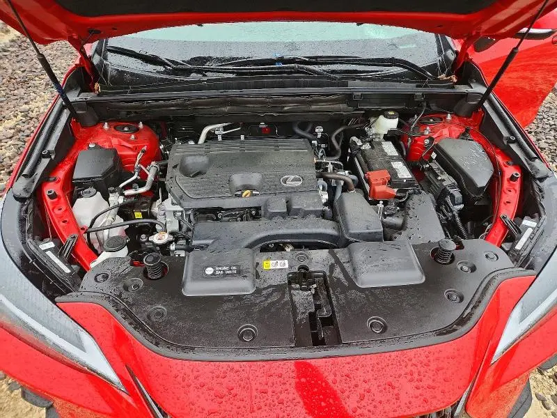 2024 LEXUS NX 250 PREMIUM  
