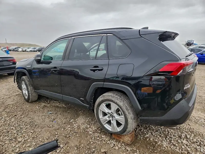 2019 TOYOTA RAV4 XLE  