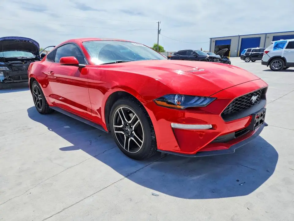 2019 FORD MUSTANG   