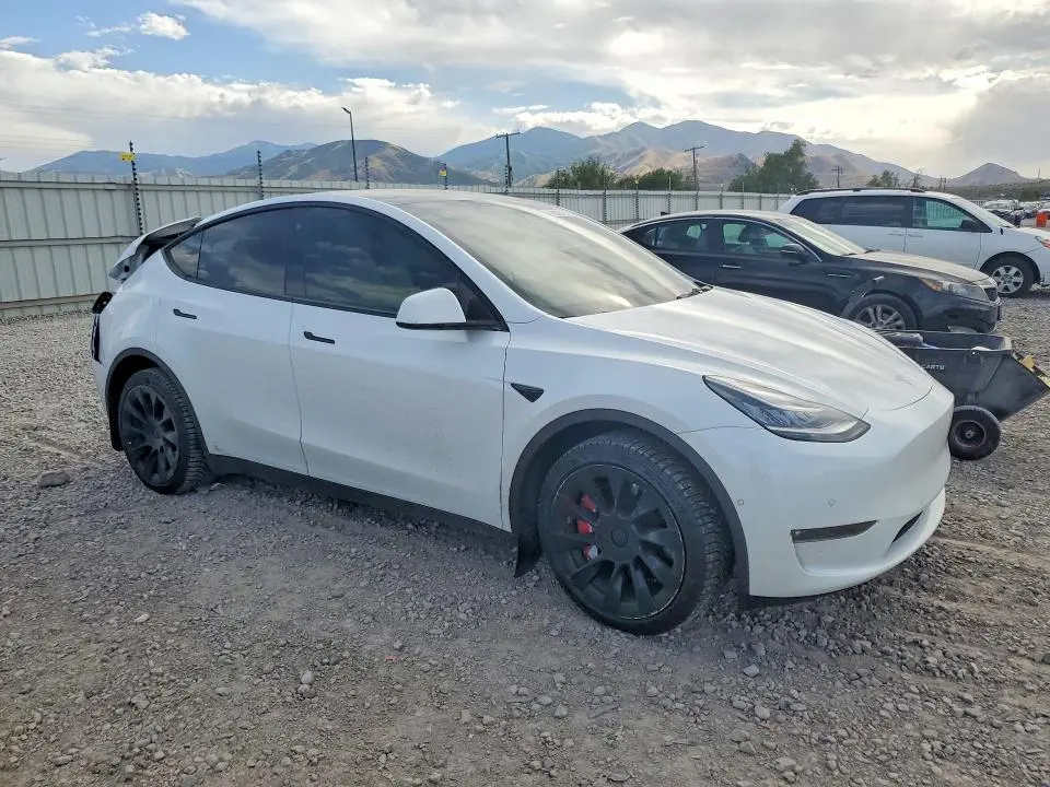 2021 TESLA MODEL Y   