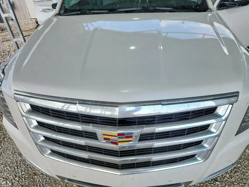 2019 CADILLAC ESCALADE PREMIUM LUXURY  