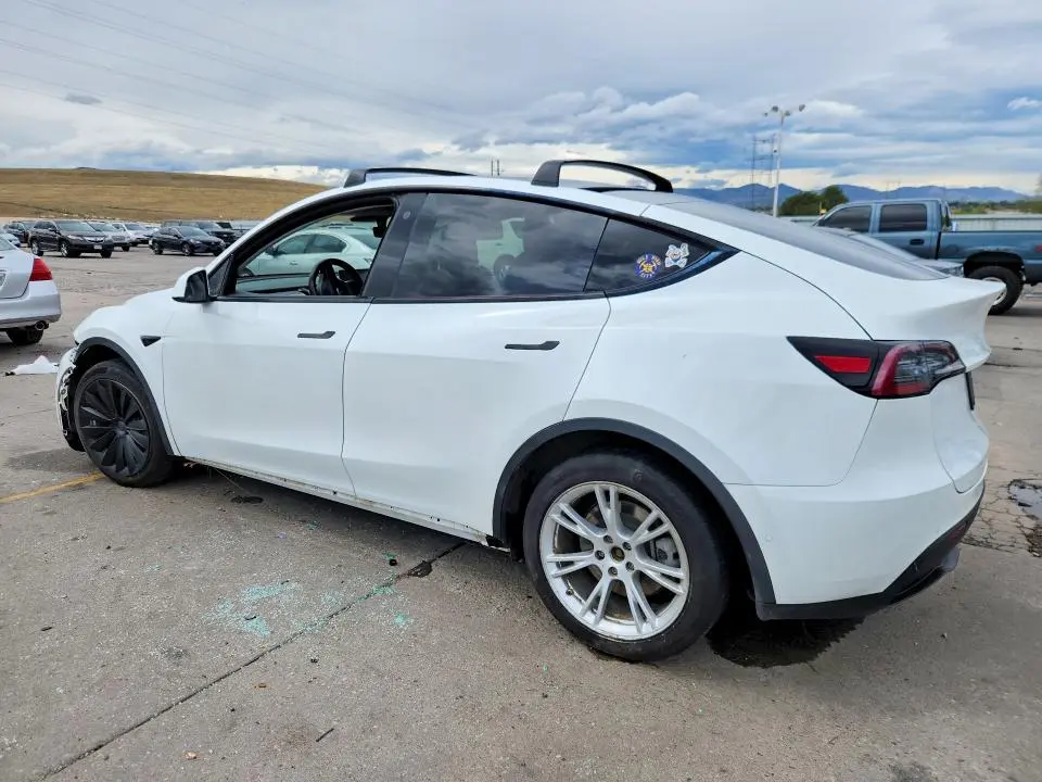 2020 TESLA MODEL Y   