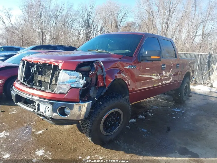 2014 FORD F-150 XLT