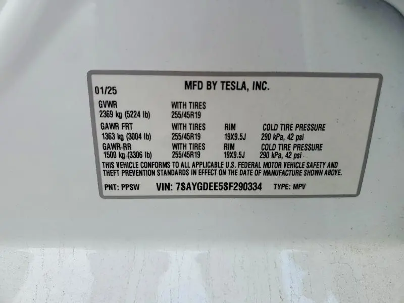 2025 TESLA MODEL Y   
