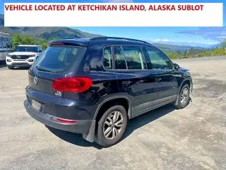 2017 VOLKSWAGEN TIGUAN S  