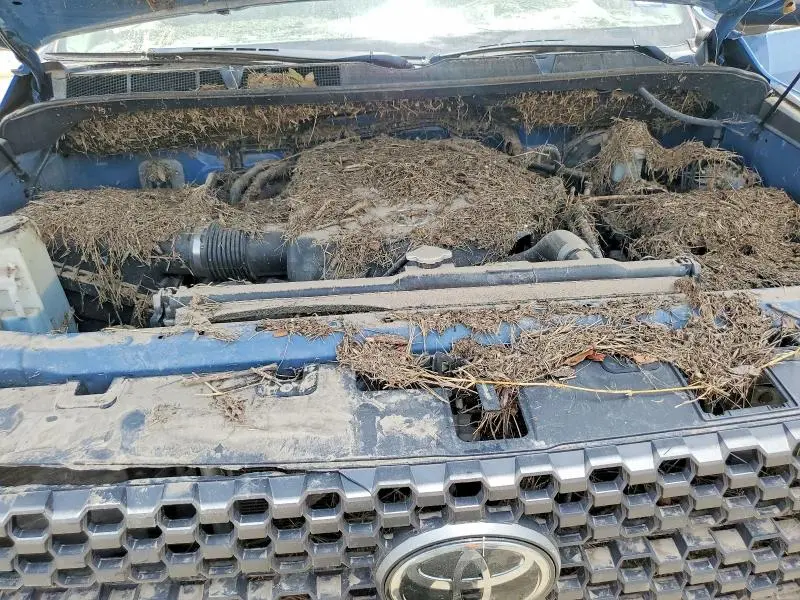 2020 TOYOTA TUNDRA SR5  