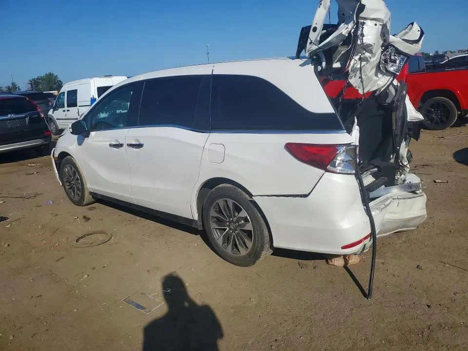 2024 HONDA ODYSSEY EXL  