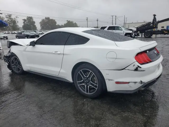 2019 FORD MUSTANG