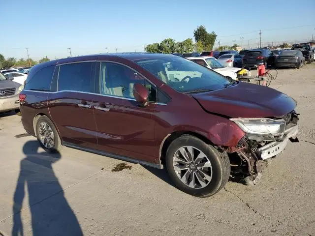 2021 HONDA ODYSSEY EXL  