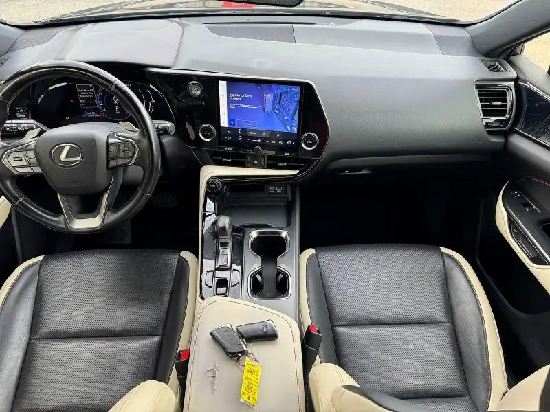 2022 LEXUS NX 250  