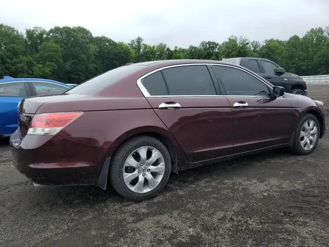 2010 HONDA ACCORD EXL  