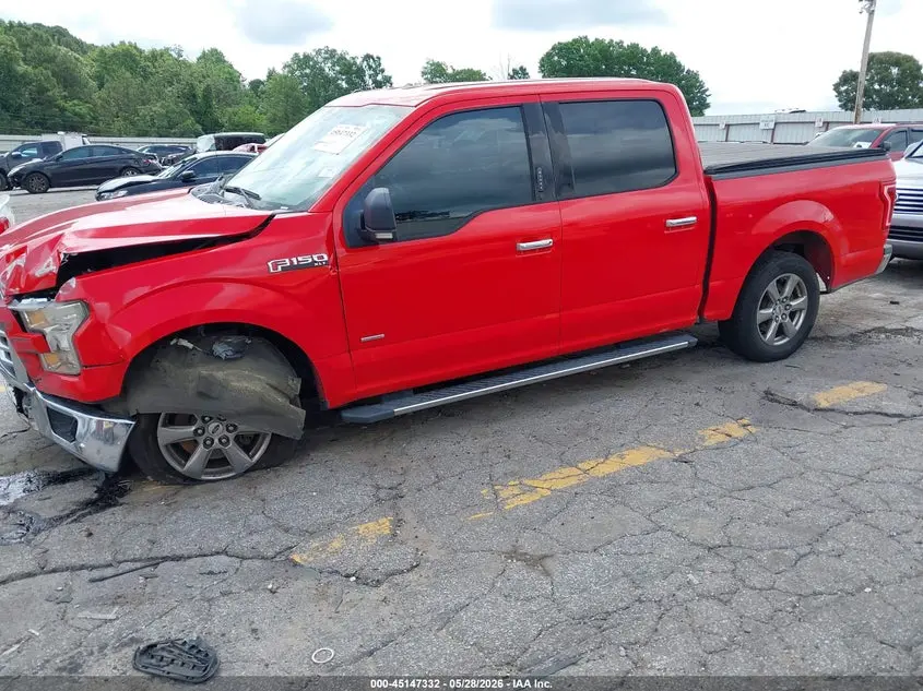 2015 FORD F-150 XLT