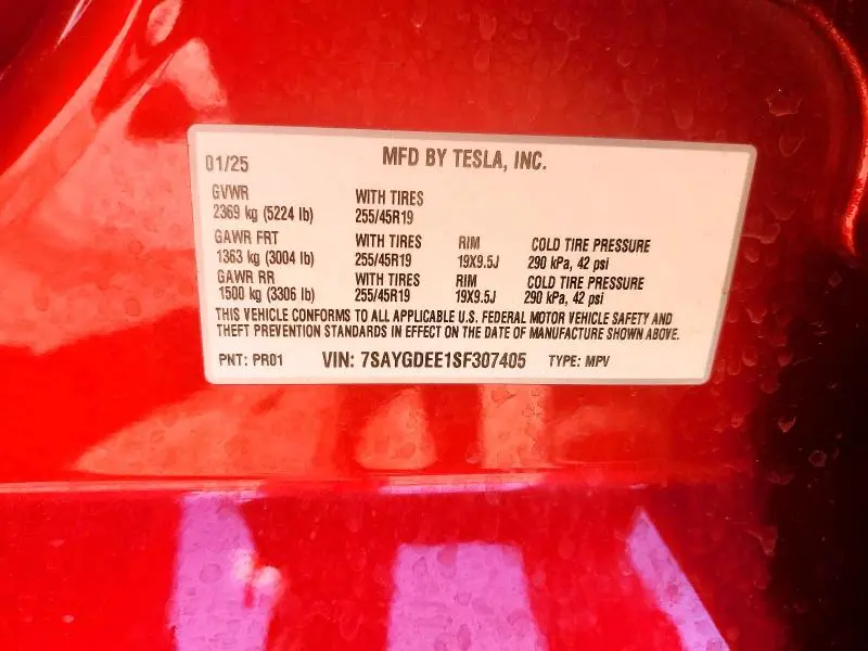 2025 TESLA MODEL Y   