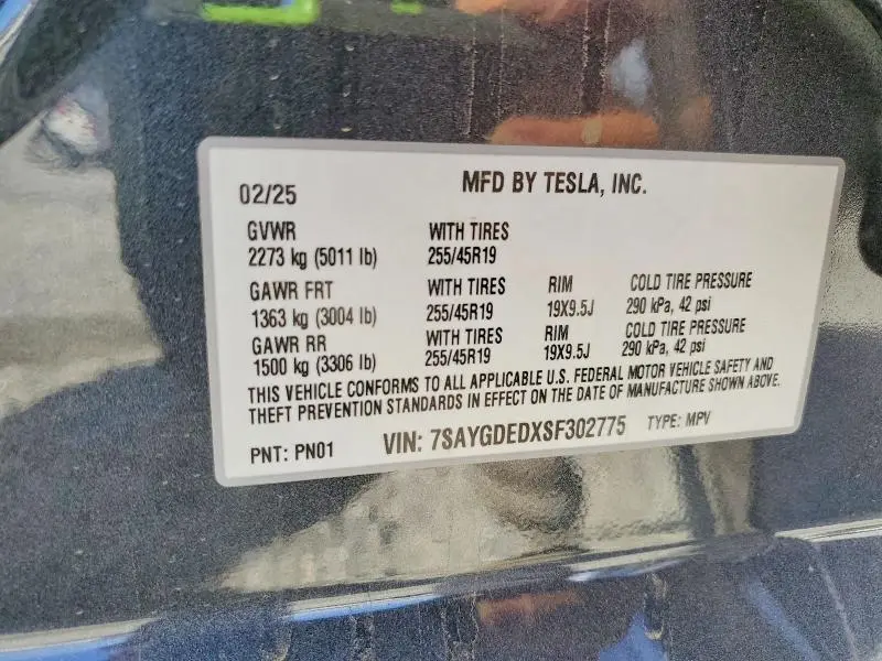 2025 TESLA MODEL Y   