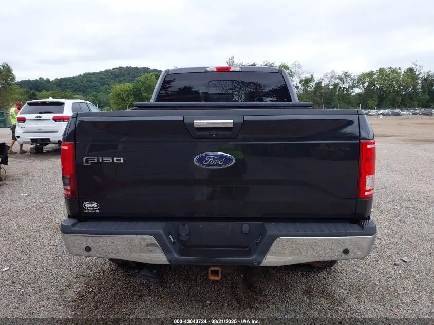 2015 FORD F-150 XLT