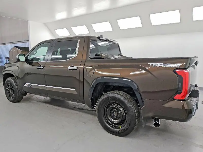 2025 TOYOTA TUNDRA 1794 EDITION  