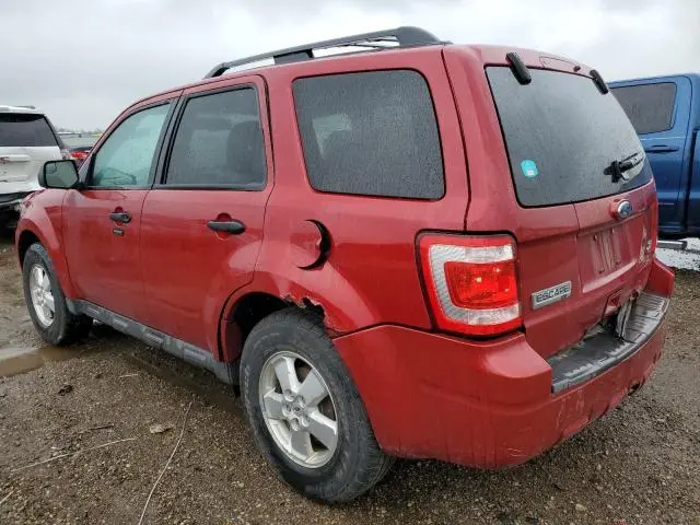 2010 FORD ESCAPE XLT  