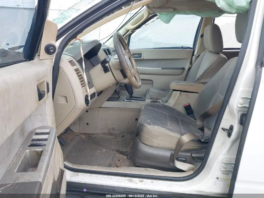 2010 FORD ESCAPE XLT