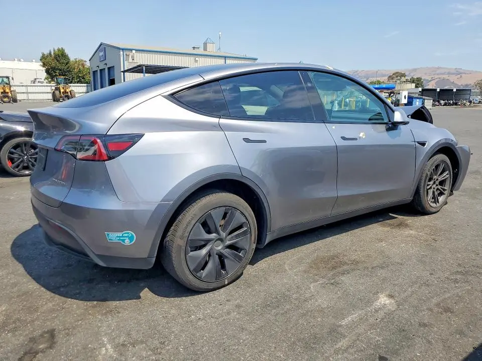 2025 TESLA MODEL Y   