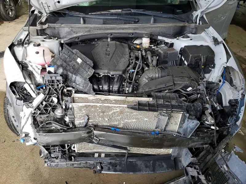 2024 KIA SPORTAGE X LINE  