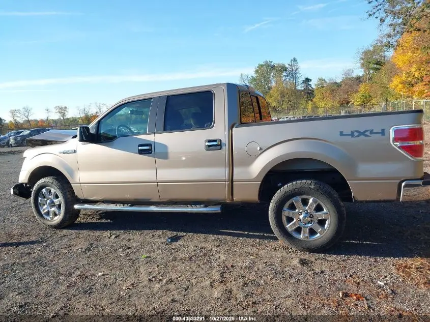 2013 FORD F-150 XLT