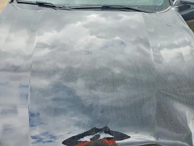 2019 FORD TAURUS LIMITED  