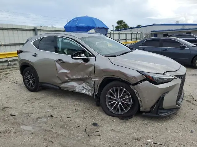 2024 LEXUS NX 250 PREMIUM  