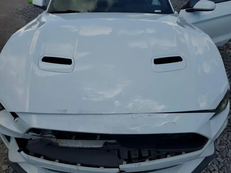 2019 FORD MUSTANG   