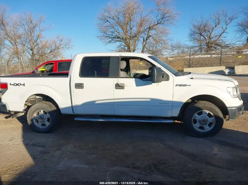 2014 FORD F-150 XLT