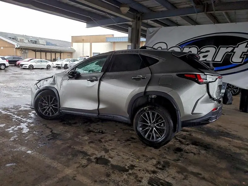 2024 LEXUS NX 250 BASE  