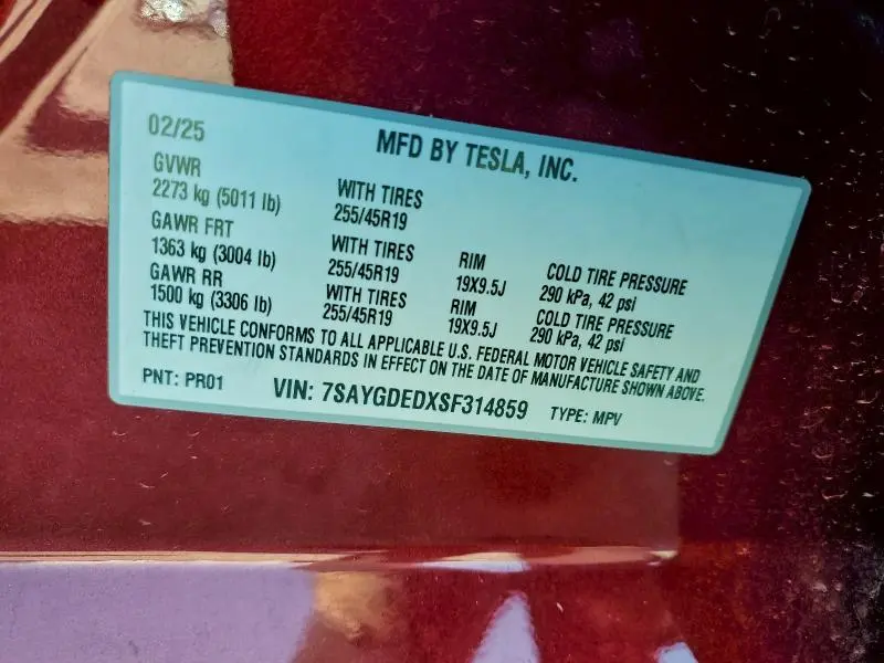 2025 TESLA MODEL Y   