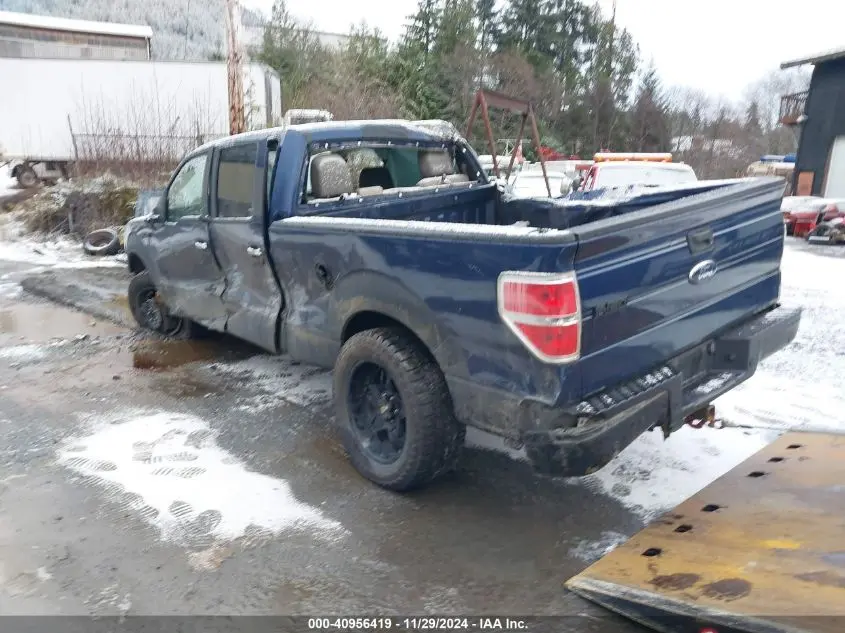 2010 FORD F-150 FX4/HARLEY-DAVIDSON/KING RANCH/LARIAT/PLATINUM/XL/XLT