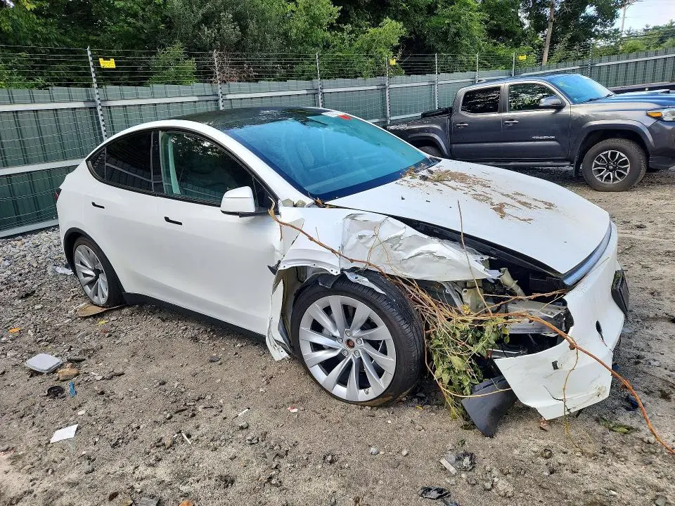 2026 TESLA MODEL Y   