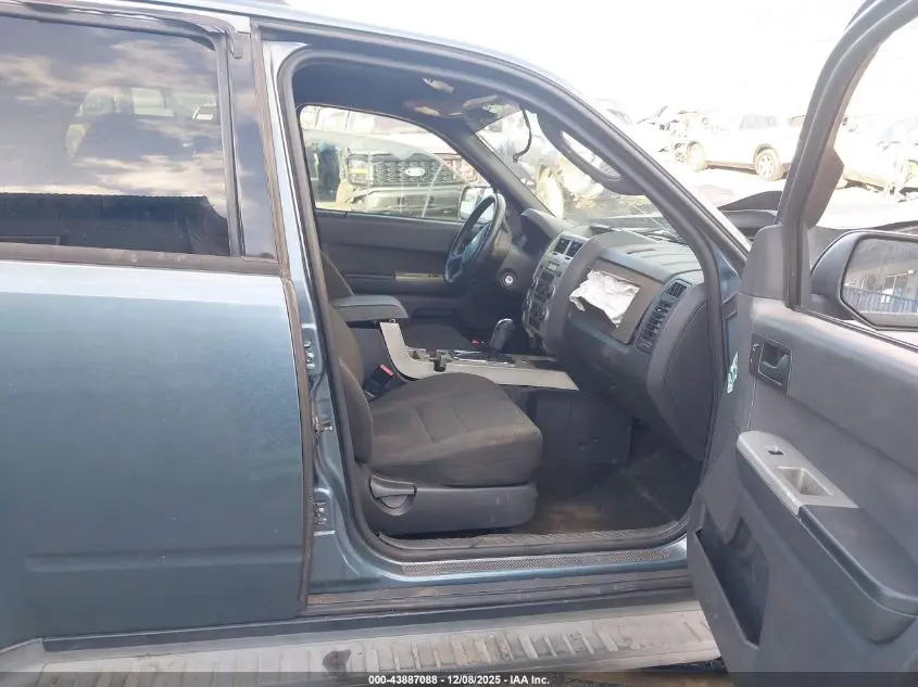 2011 FORD ESCAPE XLT