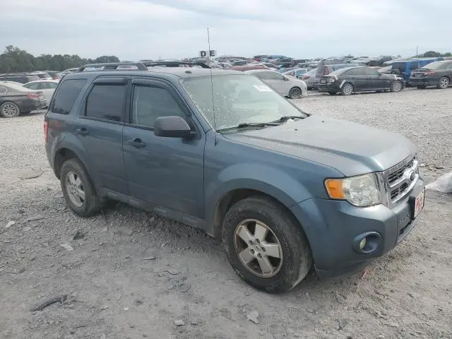 2013 FORD ESCAPE XLT