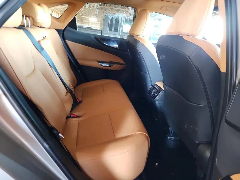2025 LEXUS NX   