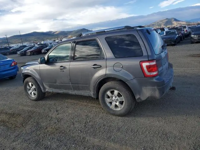 2011 FORD ESCAPE LIMITED  