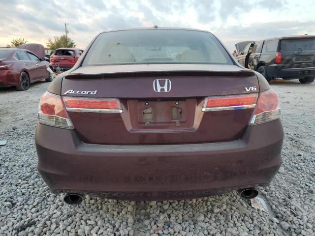 2011 HONDA ACCORD EXL