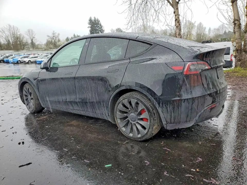 2021 TESLA MODEL Y   
