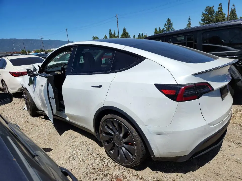 2023 TESLA MODEL Y   