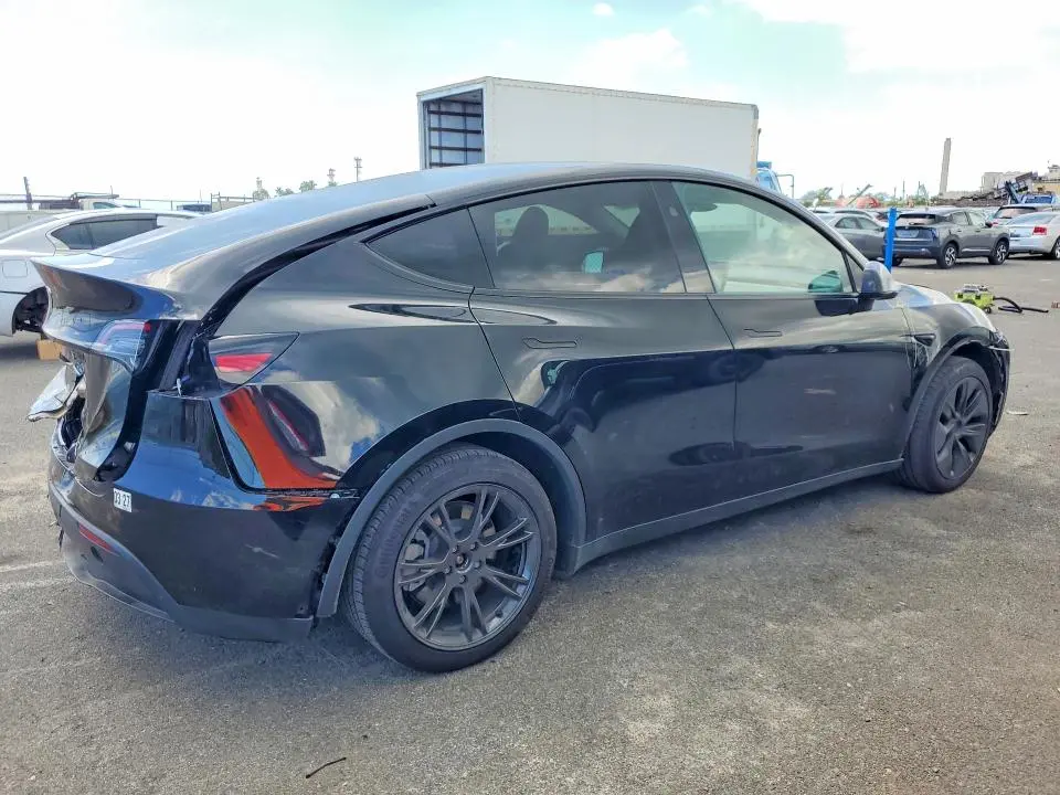 2025 TESLA MODEL Y   