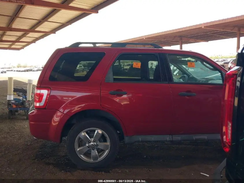 2010 FORD ESCAPE XLT