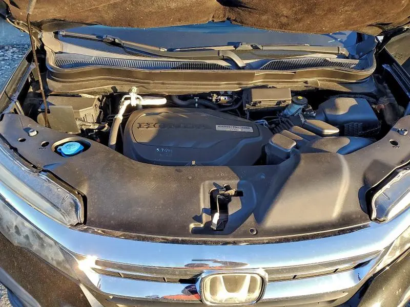 2019 HONDA PILOT EXL  