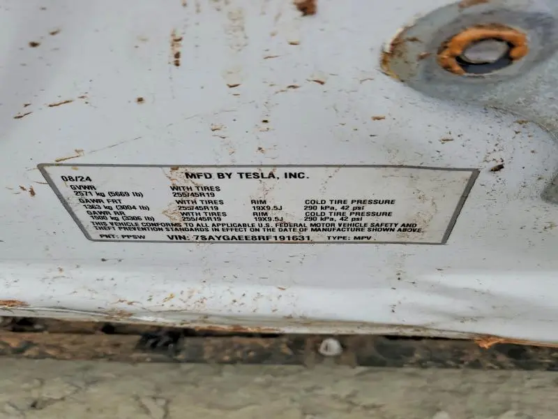 2024 TESLA MODEL Y   