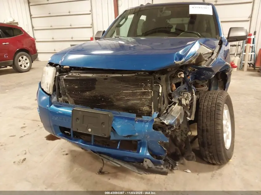 2011 FORD ESCAPE XLT