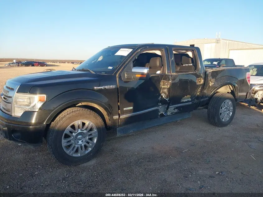 2013 FORD F-150 PLATINUM