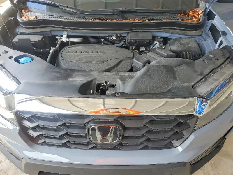 2025 HONDA PASSPORT   