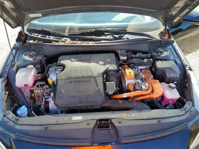 2023 HYUNDAI ELANTRA BLUE  