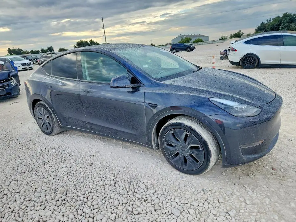 2025 TESLA MODEL Y   