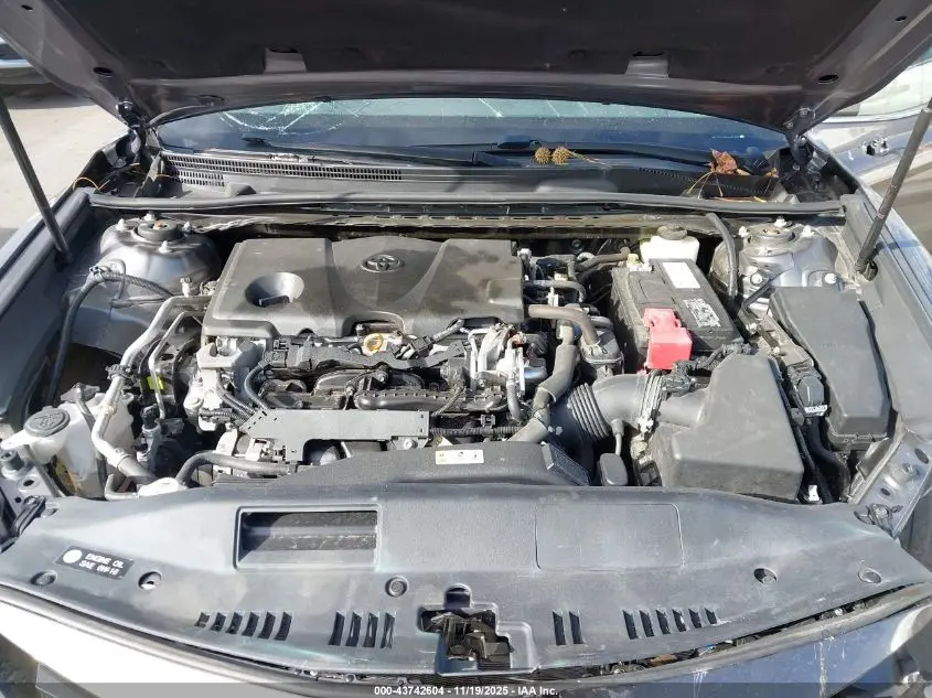 2019 TOYOTA CAMRY LE